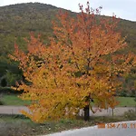 Casa Galoppa *