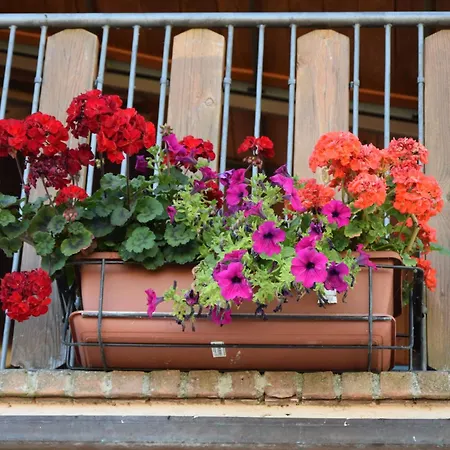 Appartement Casa Galoppa