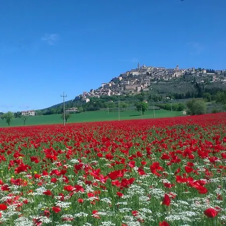 アパート Casa Galoppa トレビ