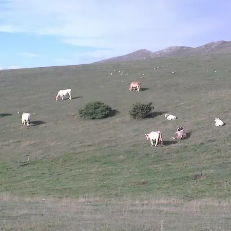 アパート Casa Galoppa *