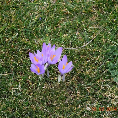 Casa Galoppa * トレビ