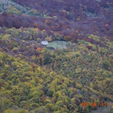 Casa Galoppa *