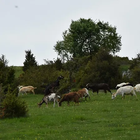 Casa Galoppa アパート