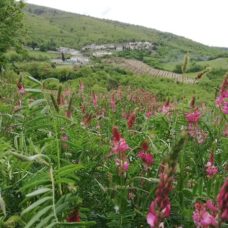 アパート Casa Galoppa *