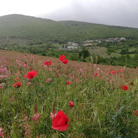 Casa Galoppa 公寓 *