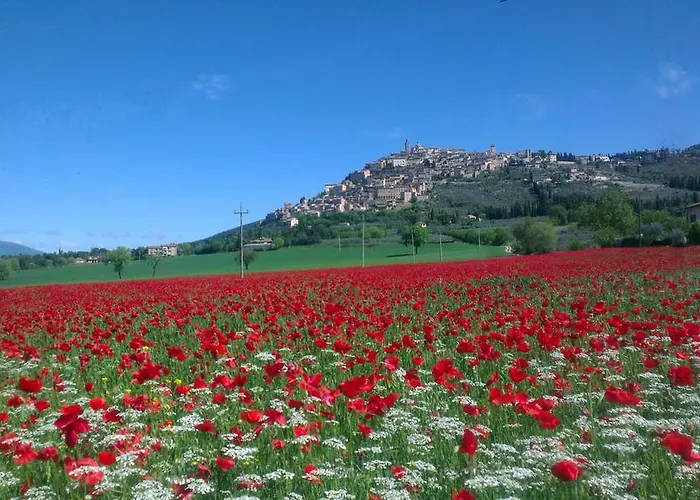Apartment Casa Galoppa Trevi