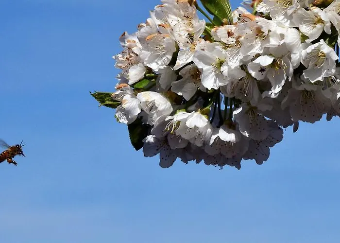 Casa Galoppa Lejlighed *