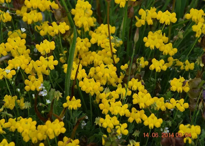 Casa Galoppa Apartment Trevi