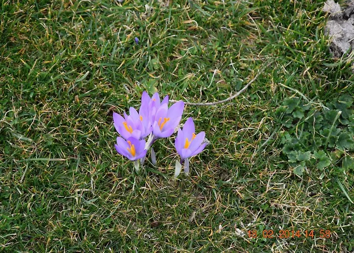 Casa Galoppa * Trevi