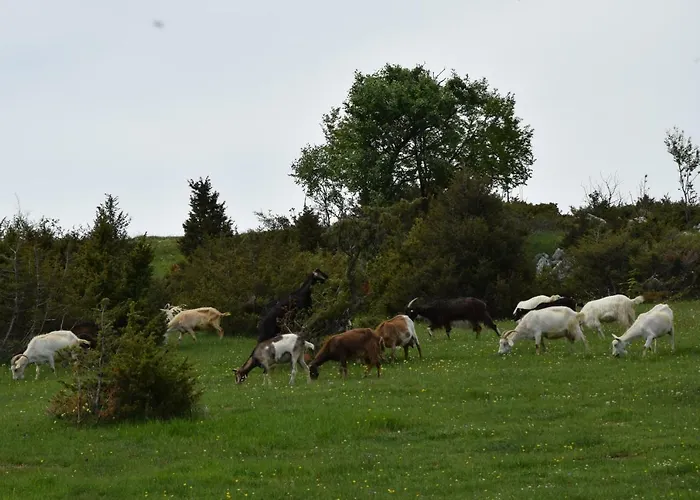 Casa Galoppa Apartment