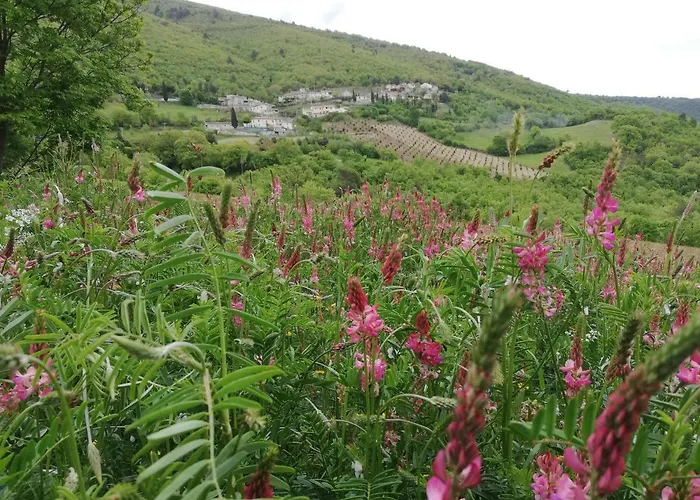 Apartment Casa Galoppa *