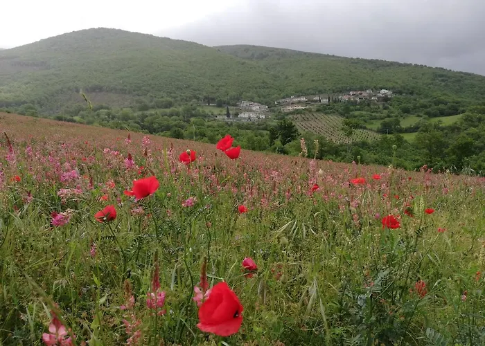 Casa Galoppa Lejlighed *